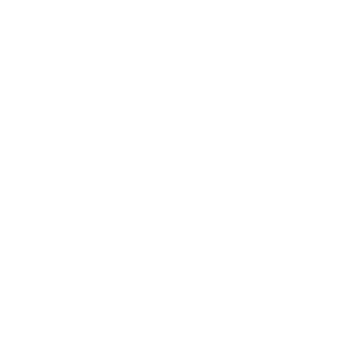Rankforge – marketing nowej generacji.
